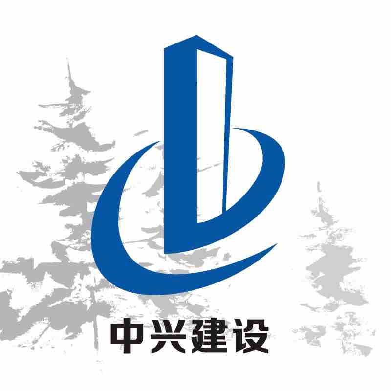 浙江中兴建设集团有限公司