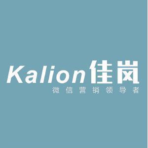 佳岚科技