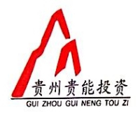 贵州贵能投资股份有限公司