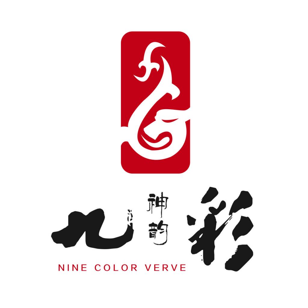陕西九彩神韵实业集团有限公司