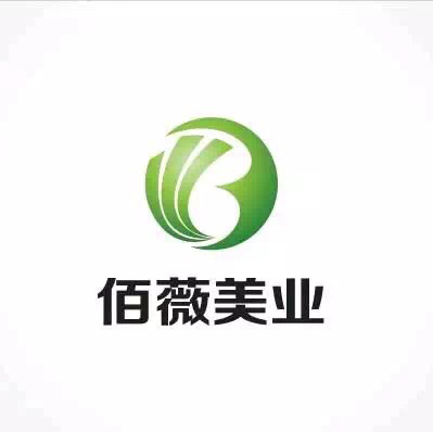 陕西佰薇美容科技有限公司