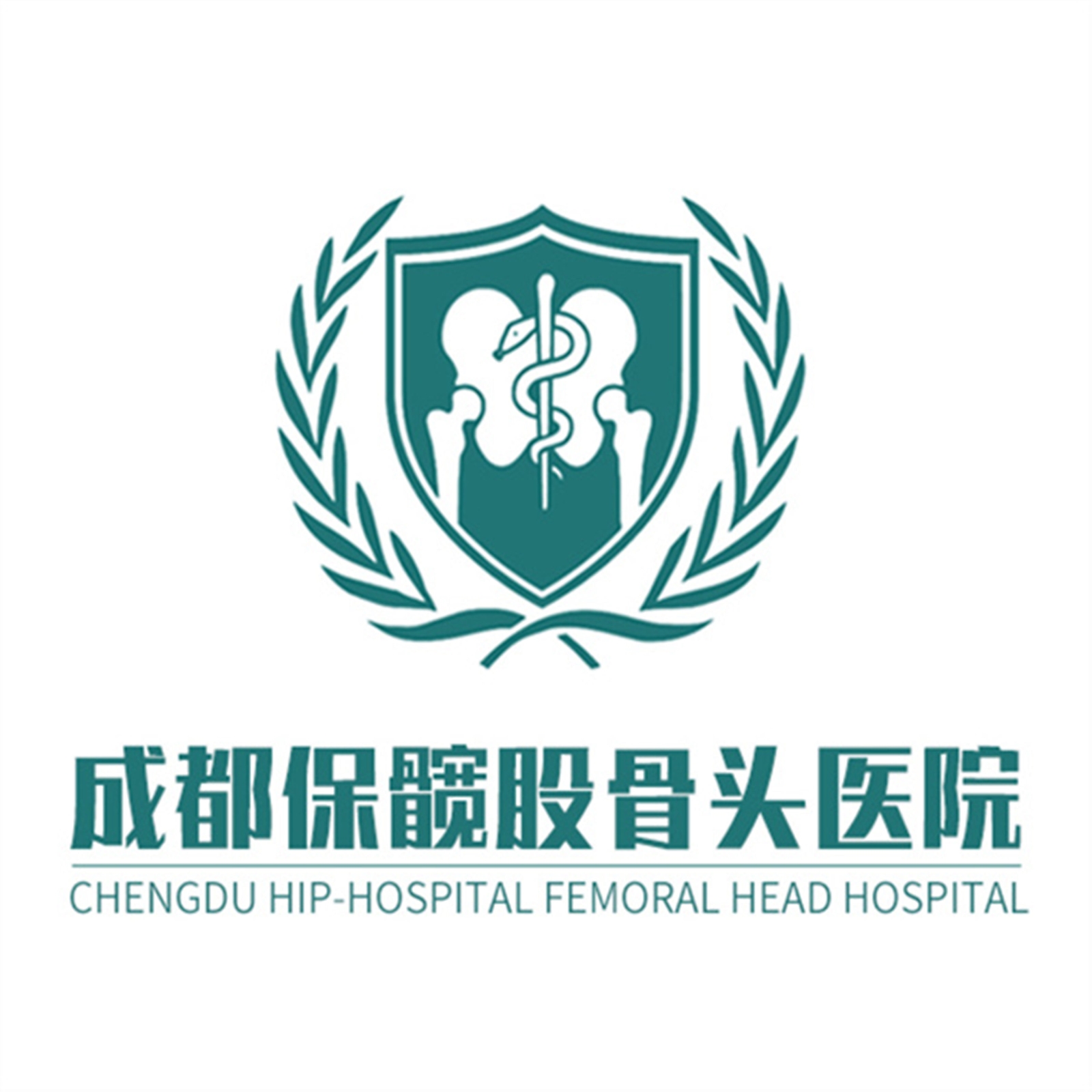 成都保髋股骨头医院有限公司