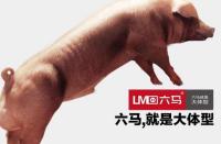 徐州六马种猪科技有限公司
