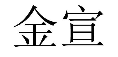 北京金宣置地房地产经纪有限公司