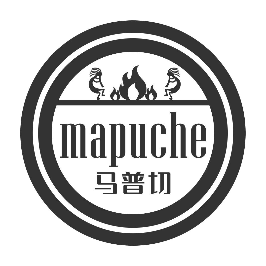 马普切 mapuche