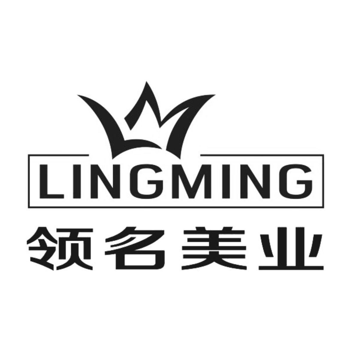 领名美业 lingming