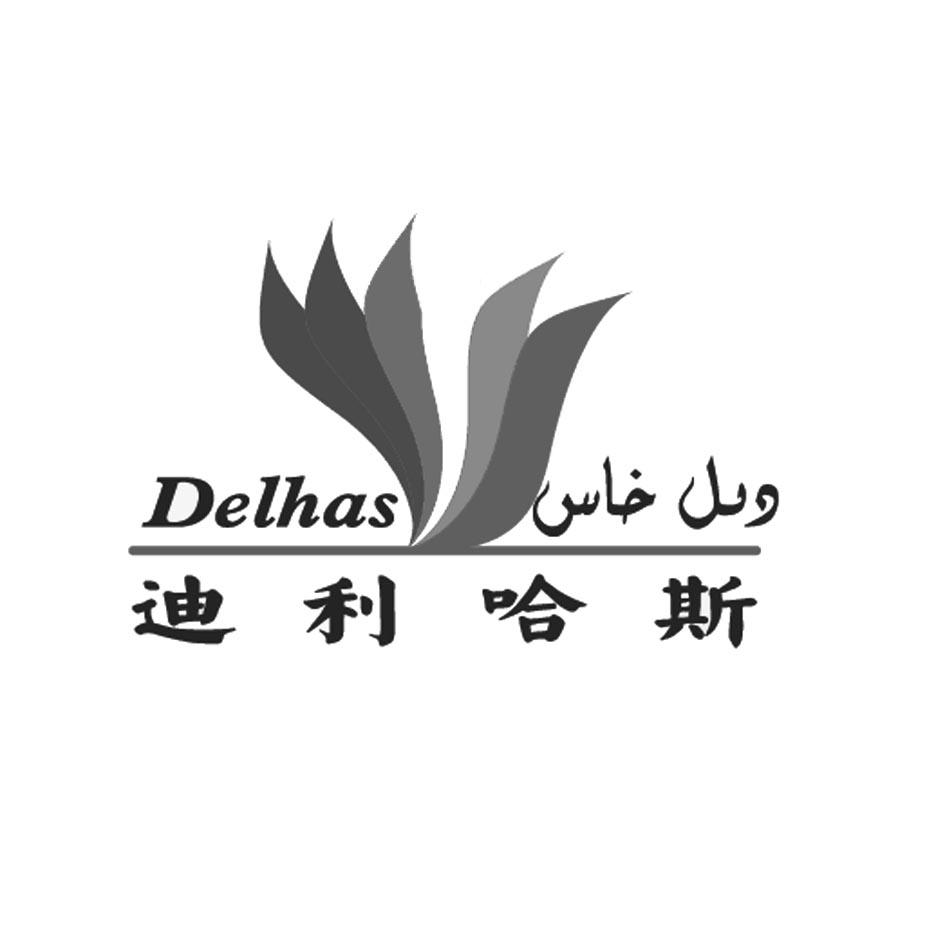 迪利哈斯 delhas