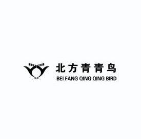 北方青青鸟 bei fang qing qing bird