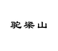 2016-09-23国际分类:第29类-食品商标申请人:焦国存办理/代理机构