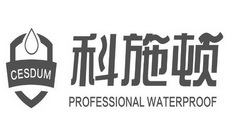 em>科施顿/em cesdum professional em>waterproof/em>