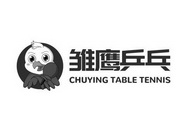 雏鹰乒乓chuyingtabletennis_企业商标大全_商标信息查询_爱企查