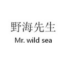 野海先生 mr em>wild/em em>sea/em>