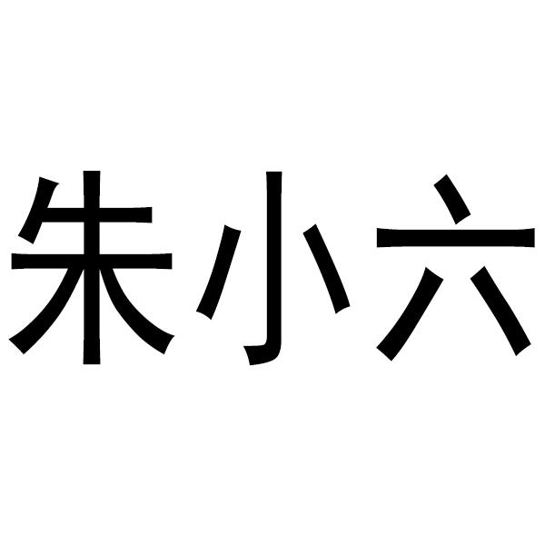 em>朱小六/em>