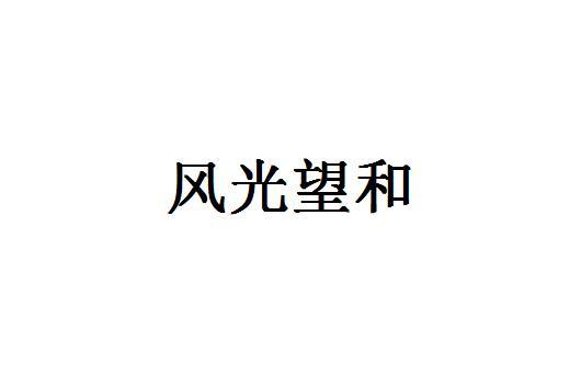 望轩 企业商标大全 商标信息查询 爱企查