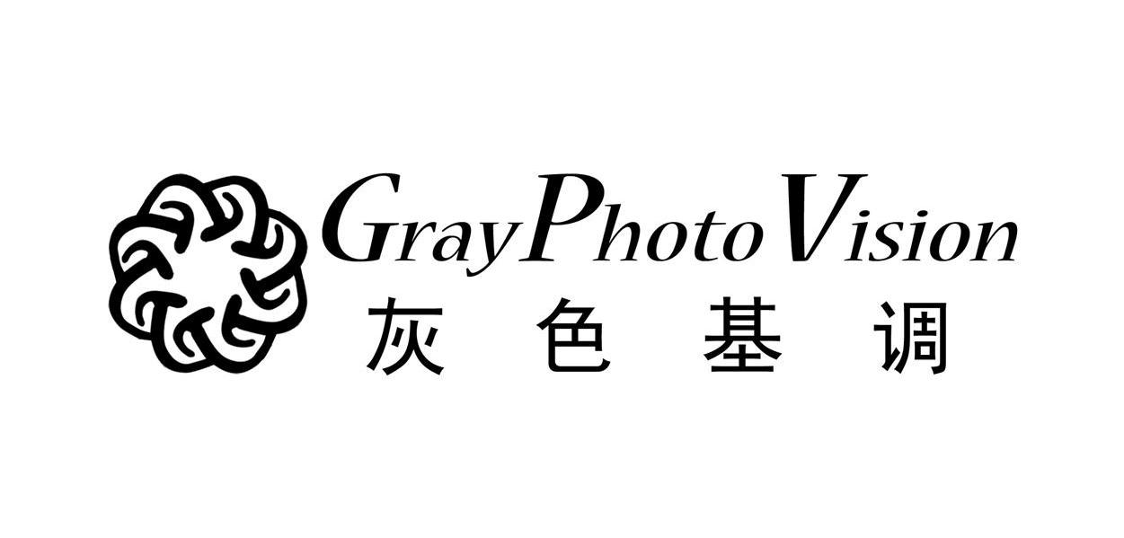 灰色基调 gray photo vision