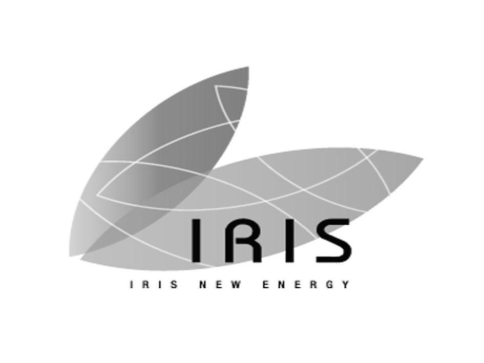 irisirisnewenergy_企业商标大全_商标信息查询_爱企查