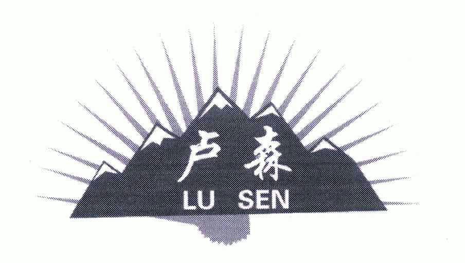 卢森;lu sen