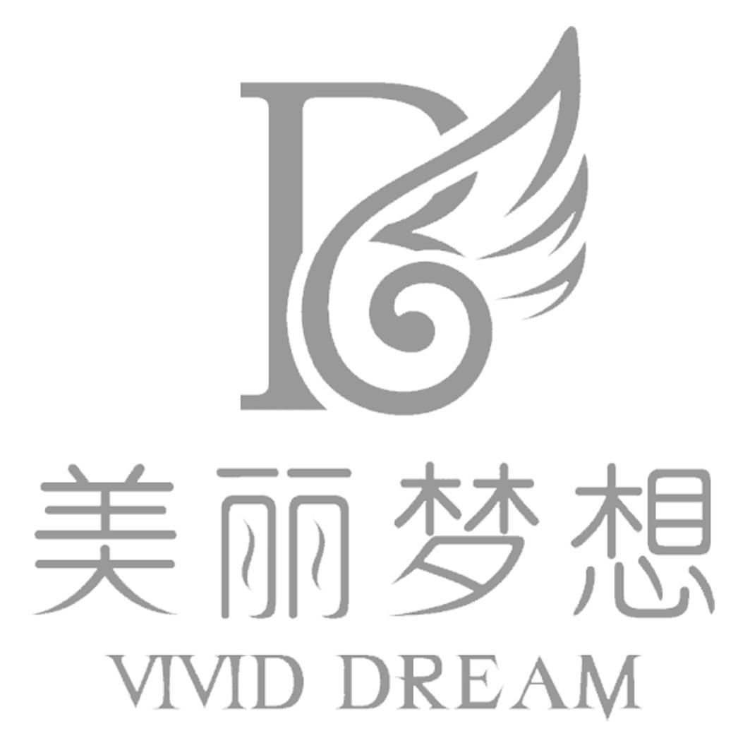 美丽梦想 vivid dream