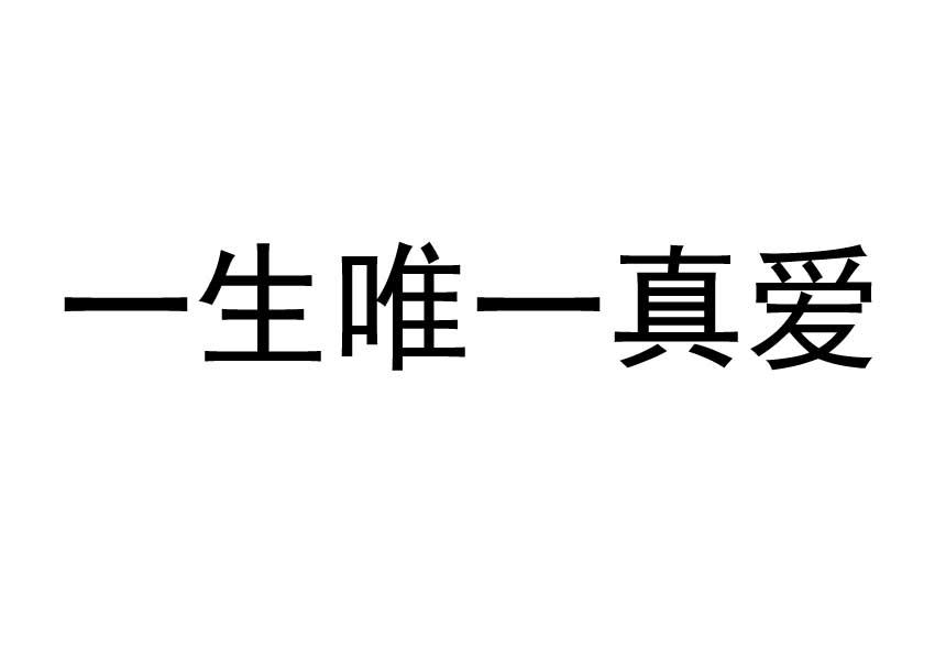 一生 em>唯一/em em>真爱/em>