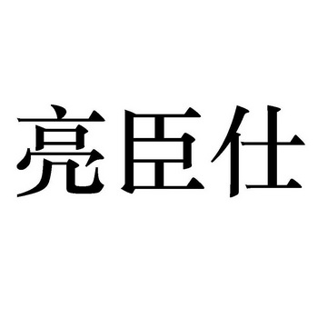 亮臣仕