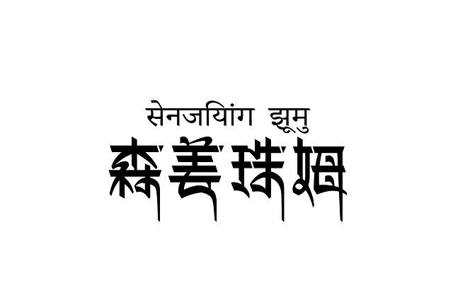 森姜珠姆 企业商标大全 商标信息查询 爱企查