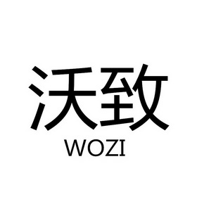 惠州市泽艾服装有限公司办理/代理机构:邮寄办理沃挚 woqing商标注册