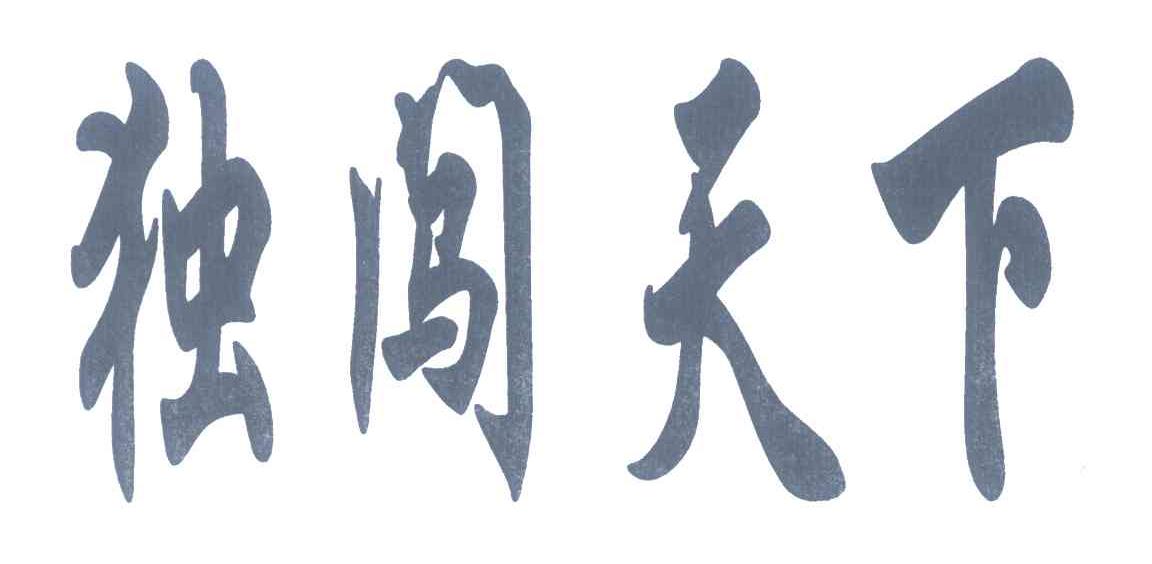 em>独闯天下/em>