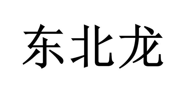 em>东北龙/em>