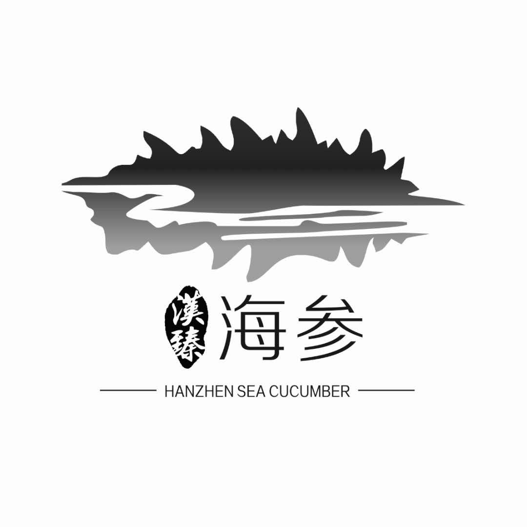 汉臻 海参 em>hanzhen/em sea cucumber