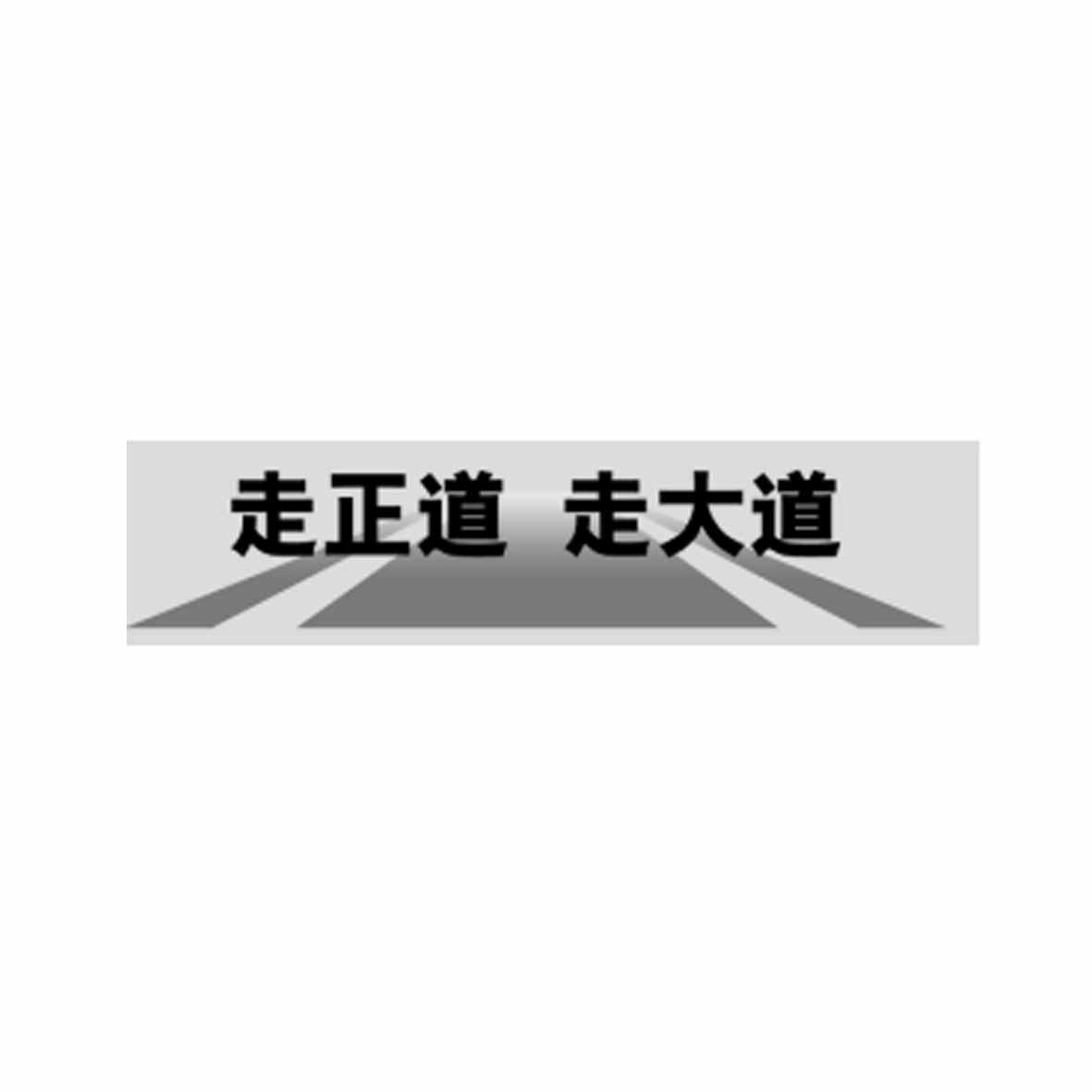 走正道走大道_企业商标大全_商标信息查询_爱企查