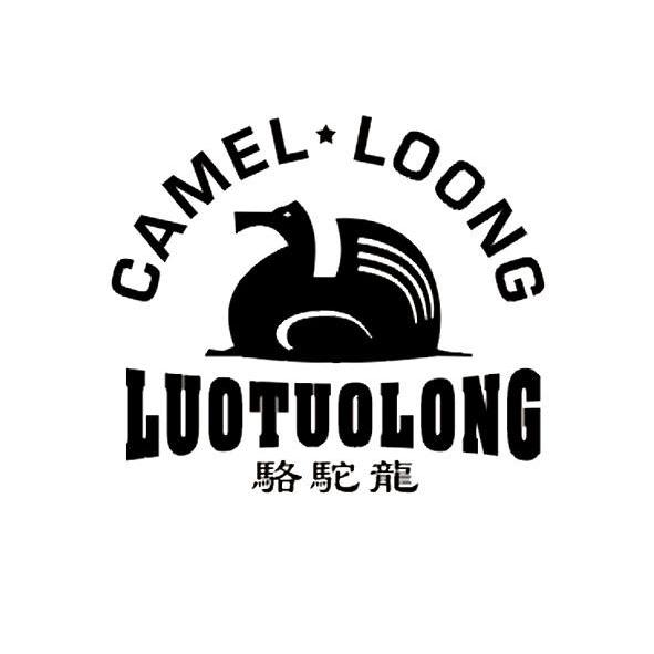 em>骆驼/em em>龙/em camel·loong