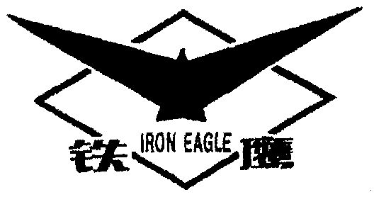 铁鹰 em>iron/em em>eagle/em>