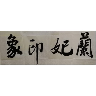 兰妃印象 商标注册申请