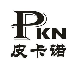 em>皮卡诺/em em>pkn/em>