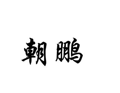 朝鹏