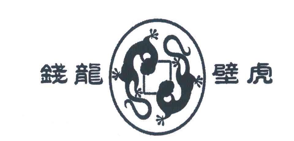 钱龙 壁虎