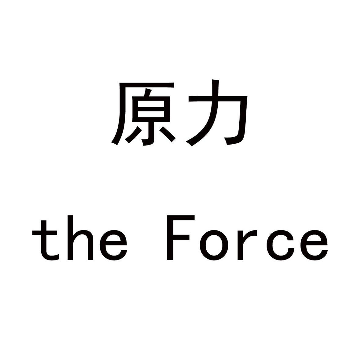  em>原力 /em> the  em>force /em>