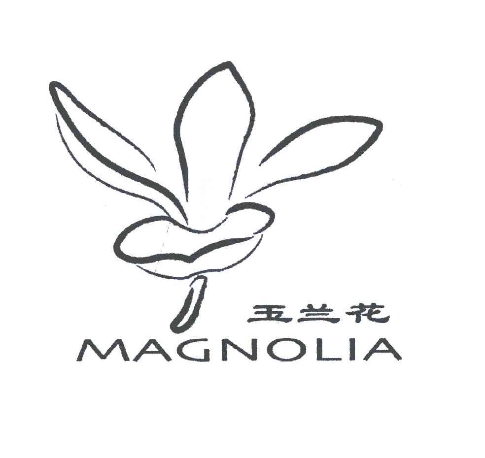  em>玉兰花 /em>; em>magnolia /em>