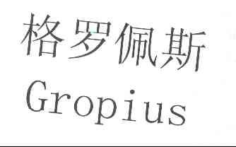 格罗培斯gropius_企业商标大全_商标信息查询_爱企查