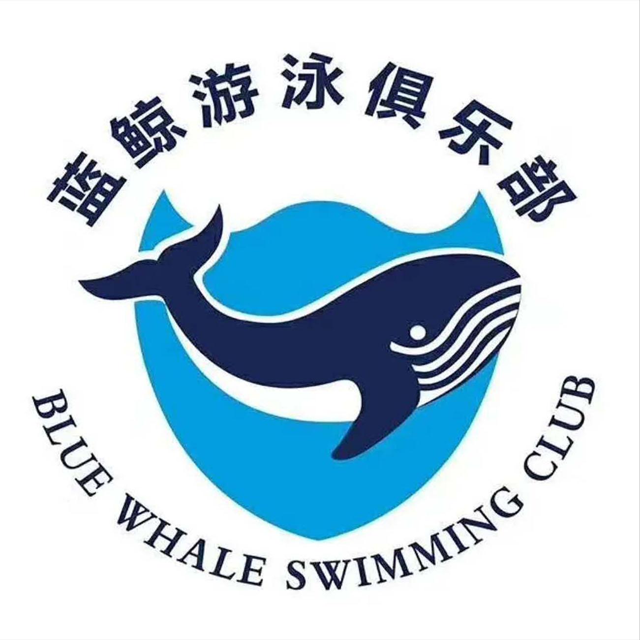 蓝鲸游泳俱乐部 blue whale swimming club   