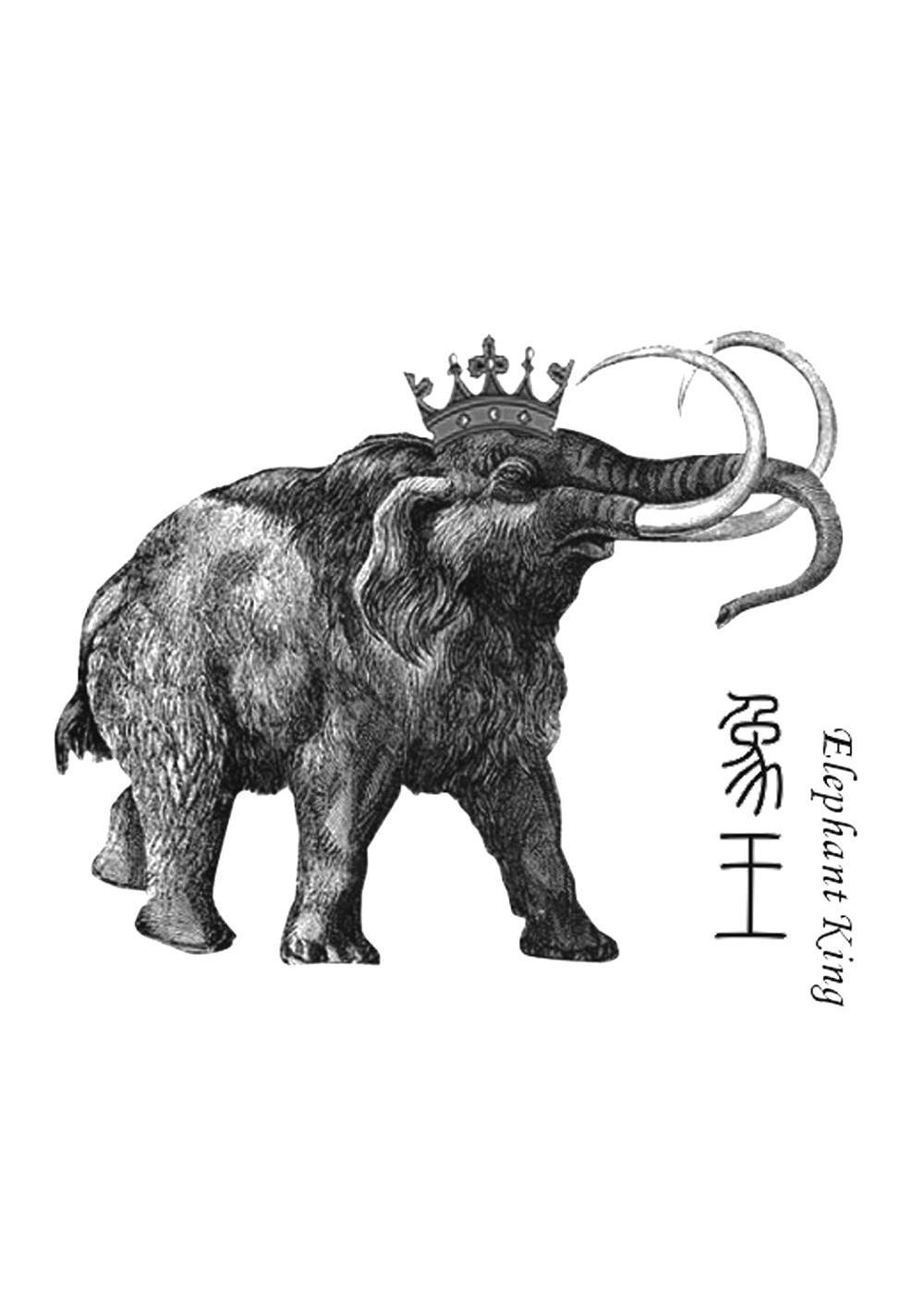 象王elephant king