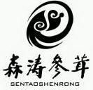 森涛参茸