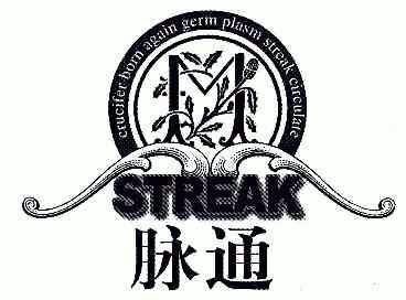 em>脉通/em;streak;crucifer born again germ plasm streak