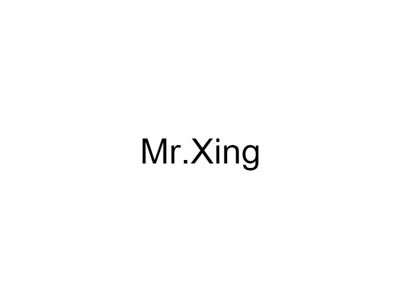 mr xing 商标注册申请