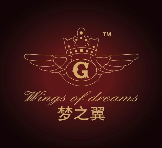 梦之翼 em>wings/em of em>dreams/em g tm