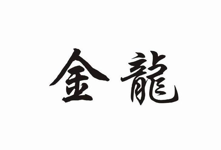 中山市小榄镇金龙制衣厂