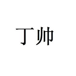 丁帅_企业商标大全_商标信息查询_爱企查