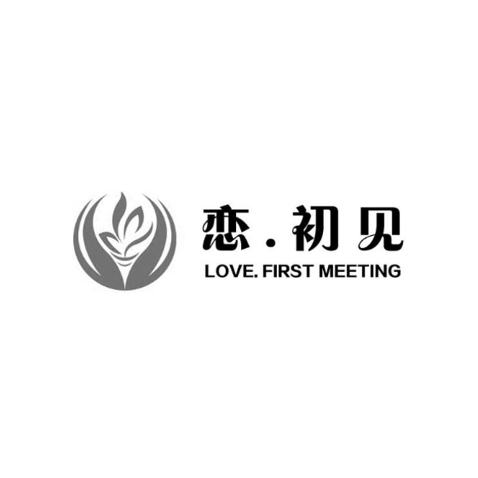 初见 love.first meeting