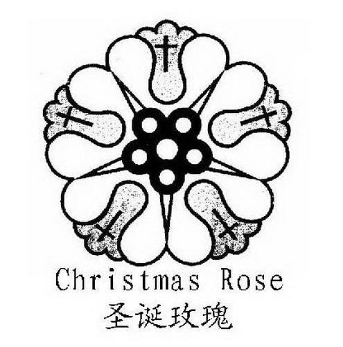 圣诞玫瑰 christmas rose