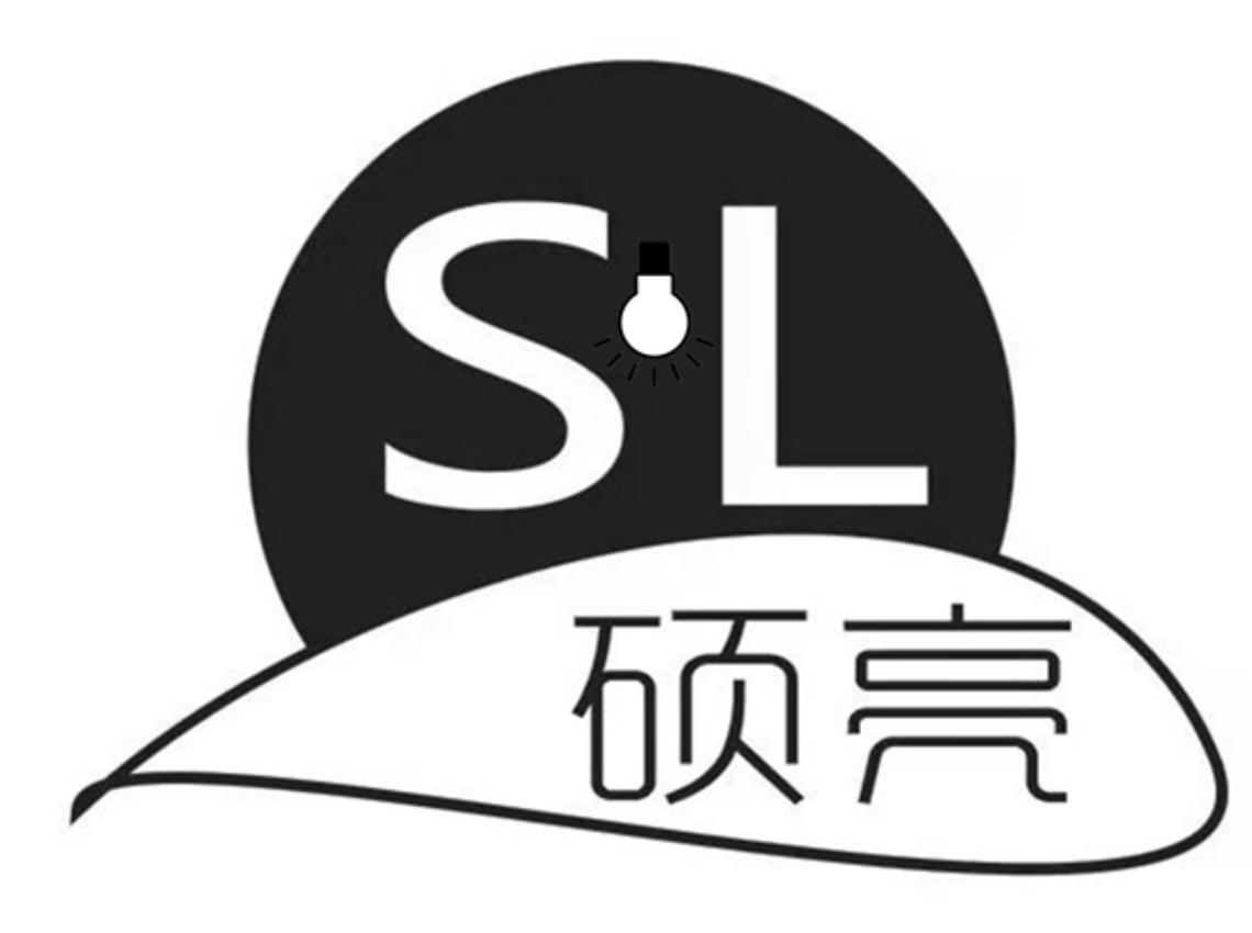 中山市硕亮照明科技有限公司办理/代理机构:广东国赢知识产权代理有限